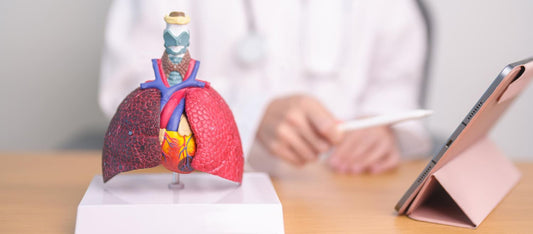Top 5 Best Liver Detox in India