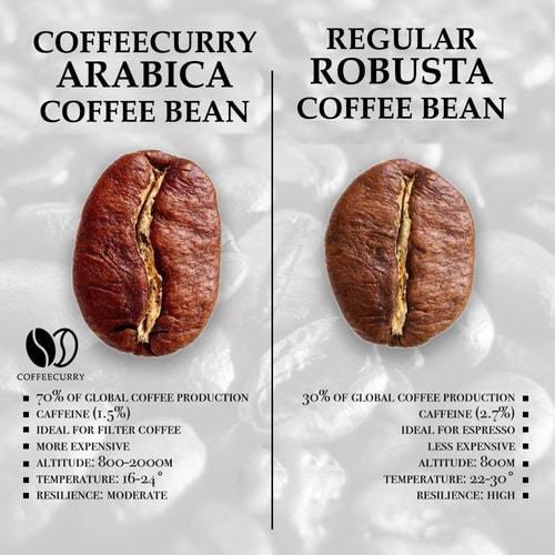 difference between  coffeecurry Arabica Roasted Coffee Beans and other coffee beans